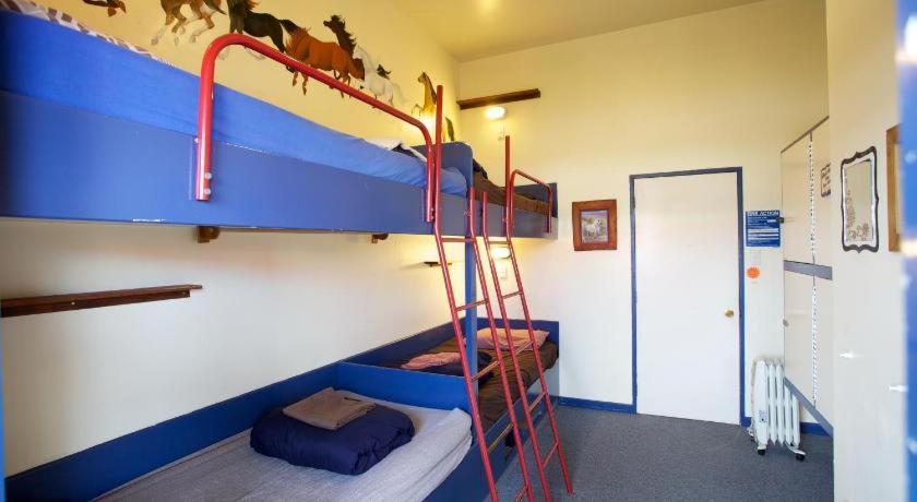 Stables Lodge Backpackers Нейпиър Екстериор снимка