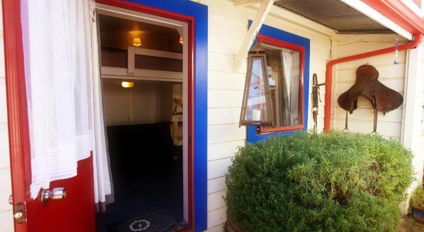 Stables Lodge Backpackers Нейпиър Екстериор снимка