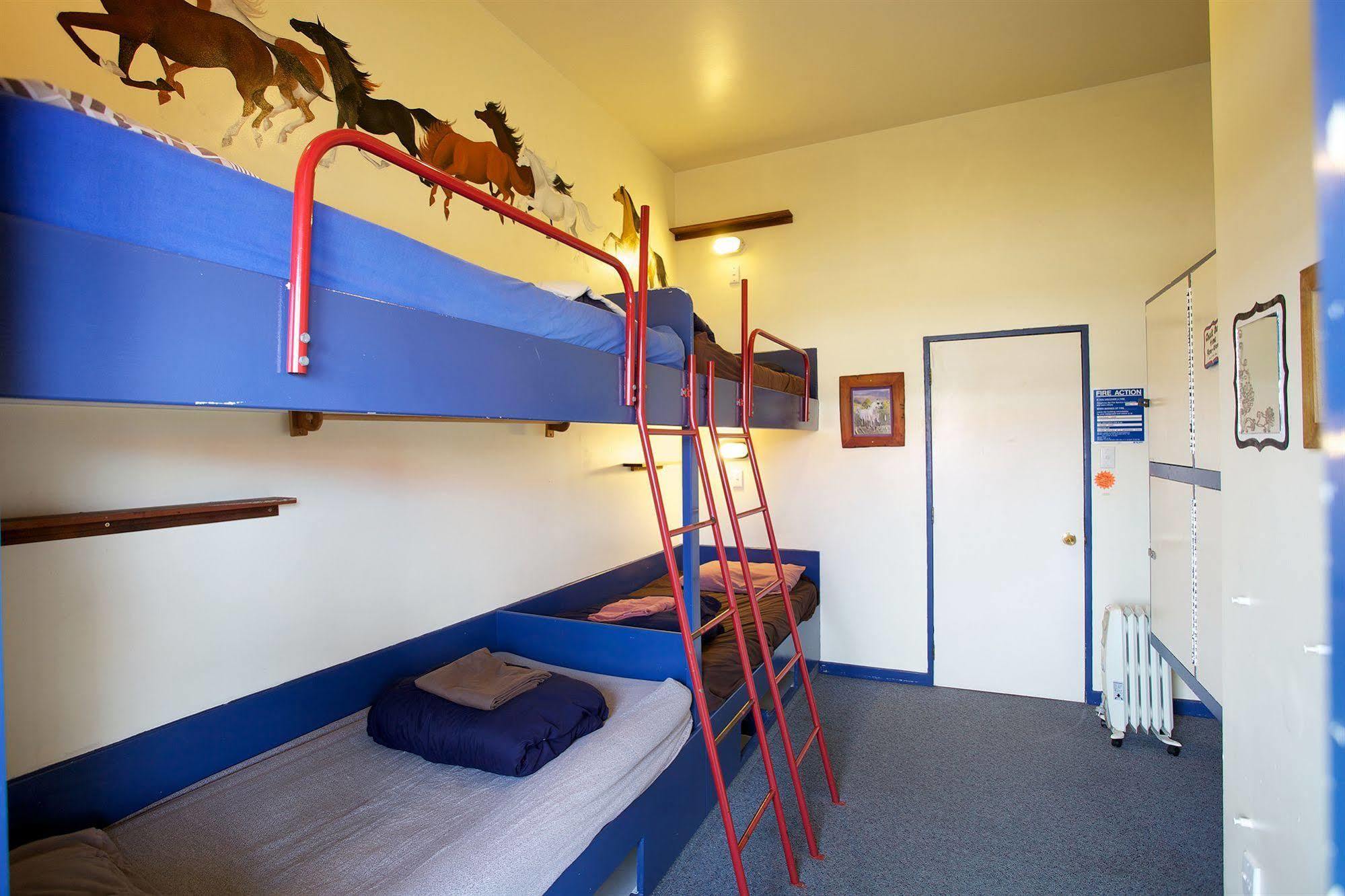 Stables Lodge Backpackers Нейпиър Екстериор снимка